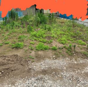 草刈り前の土地の写真