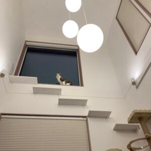 キャットウォーク　吹き抜け　一条工務店