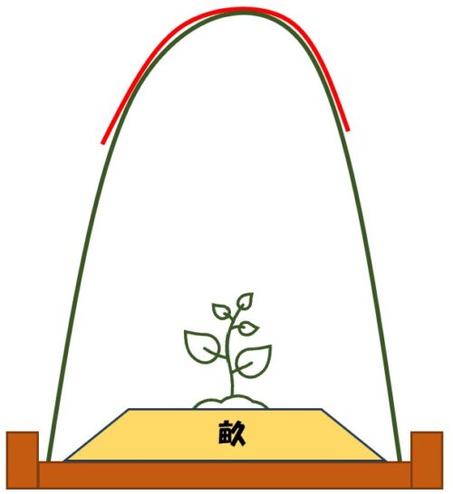 雨よけのイラスト