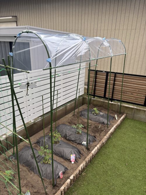 自作した雨よけ