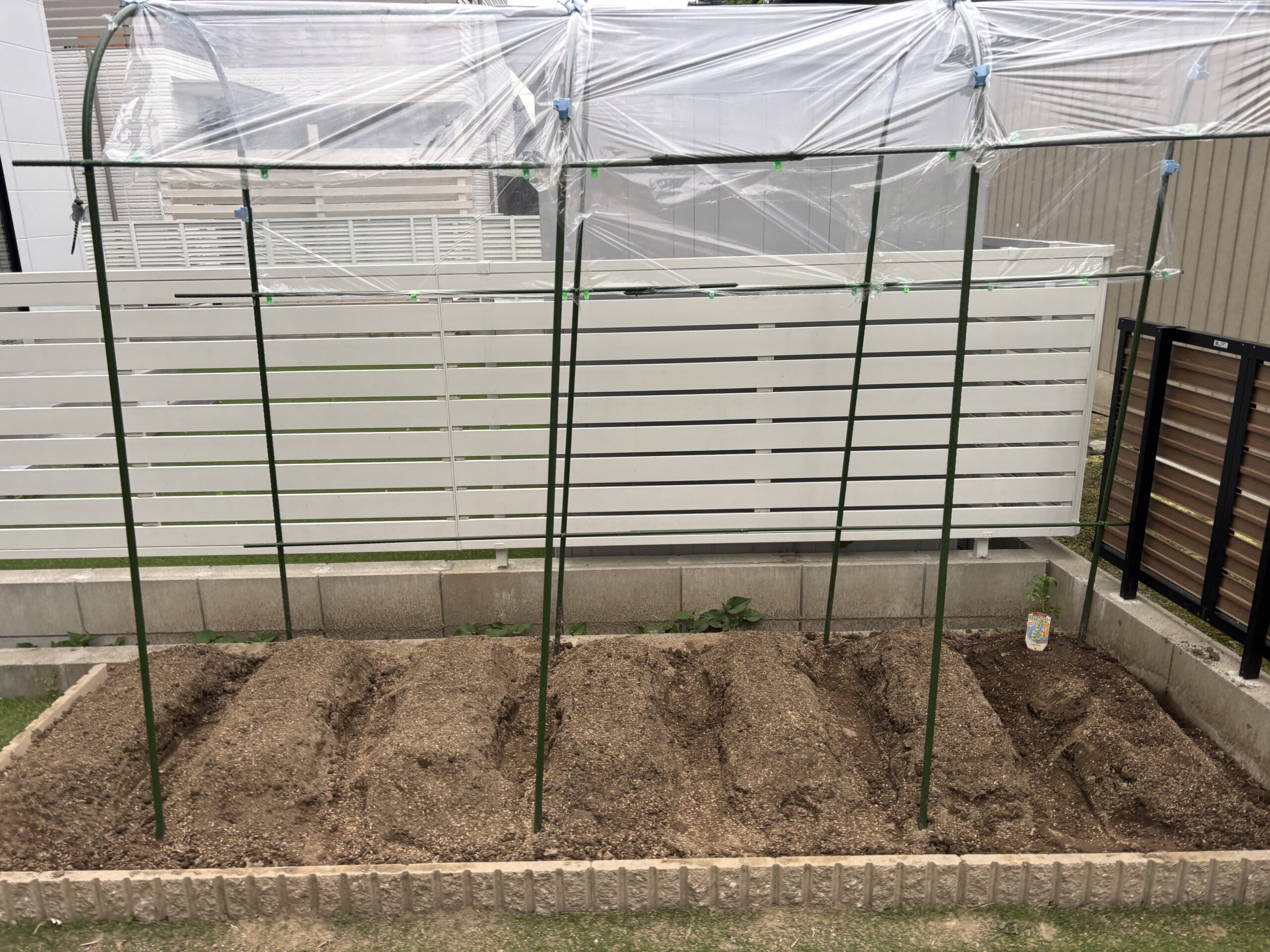 家庭菜園3年目】初心者が植えるべき野菜とリアルな連作影響は